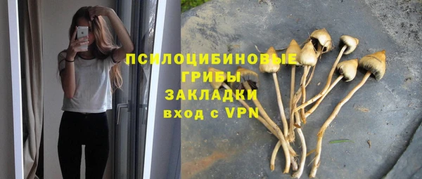 не бодяженный Зеленодольск