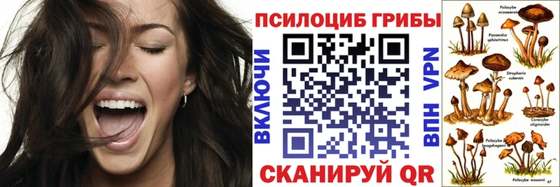 купить закладку  OMG ONION  Галлюциногенные грибы ЛСД  Электроугли 
